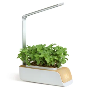 GROW YOUR OWN - SMART GARDEN