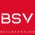 BSVheildverslunLOGO RED